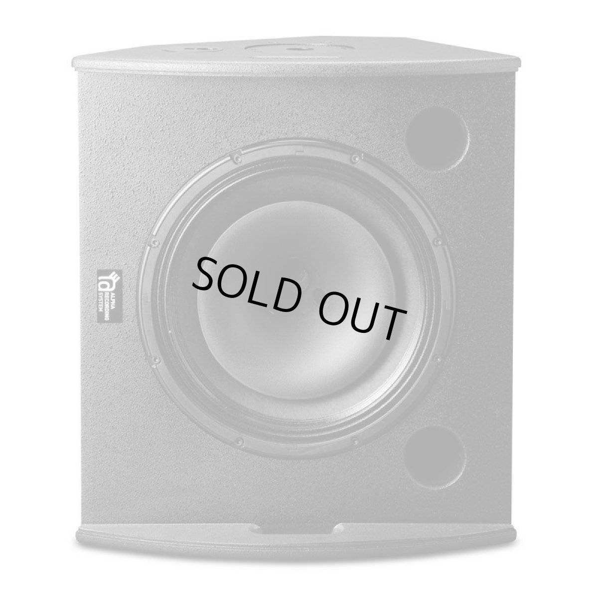 画像2: MODEL-SM15 Booth Monitor&Stage Monitor (2)